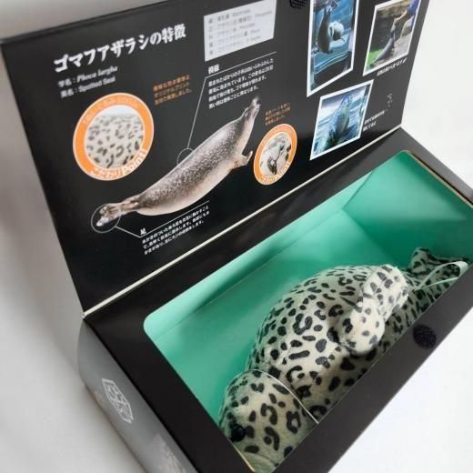 動物園シリーズ 確認用 アザラシ 動物園シリーズ 確認用 アザラシ