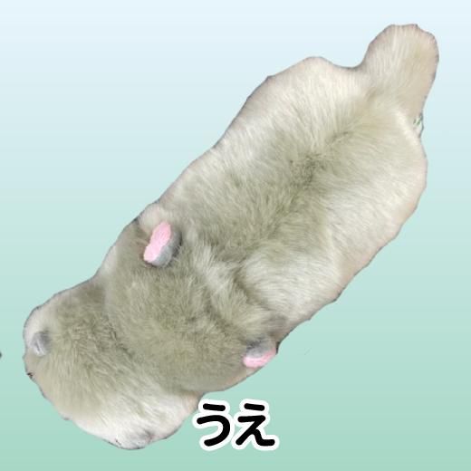 カバぬいぐるみ カバのぬいぐるみ キュート販売 CUTE 動物 ぬいぐるみ サファリ