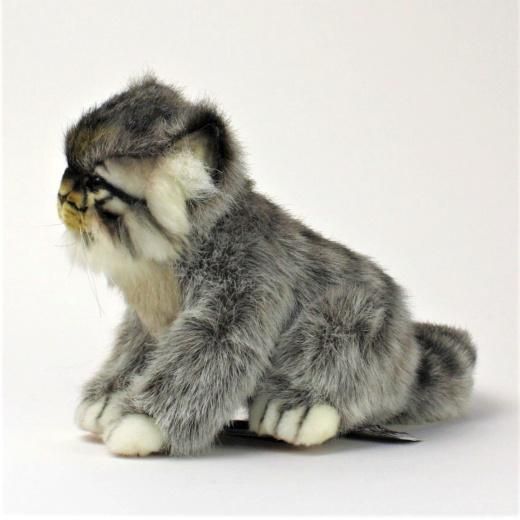 期間限定お買い得商品 |  通販 ぬいぐるみ HANSA 旭山動物園くらぶオンライン - マヌルネコ17 ぬいぐるみ