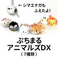 פޤ륪륹DX6ˡ
