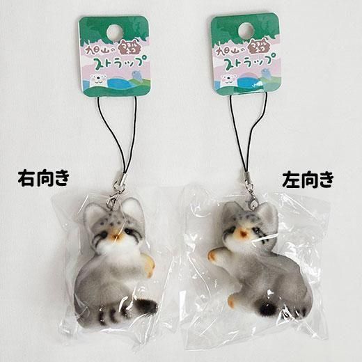 アクリル画　マヌルネコ アクリル画 マヌルネコ 商品詳細ページ
