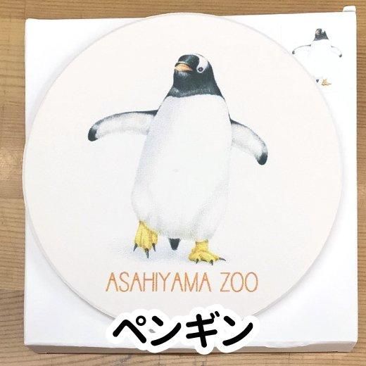 旭山動物園コースター - 旭山動物園くらぶオンラインショップ