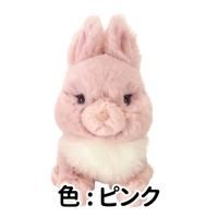 あべ弘士オリジナルクリアファイル「キングペンギン仔」≪☆LP