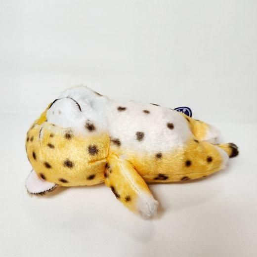 ぬいぐるみ はさまってるでヒョウ - 旭山動物園くらぶオンラインショップ