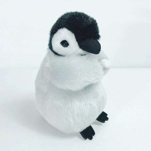 吉徳 くっつきたい！ペンギン - 旭山動物園くらぶオンラインショップ