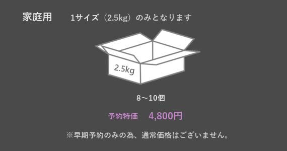1サイズ(2.5kg)のみとなります