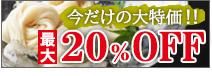 ͬǵ夽20%OFF
