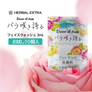<img class='new_mark_img1' src='https://img.shop-pro.jp/img/new/icons61.gif' style='border:none;display:inline;margin:0px;padding:0px;width:auto;' />եå 3g Х餭ؤ (10) ڥ᡼ء 