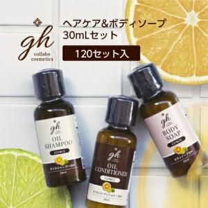 ڼۥإܥǥ 30mL 3ܥå GH (120å)