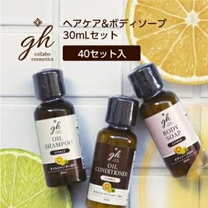 ڼۥإܥǥ 30mL 3ܥå GH (40å)