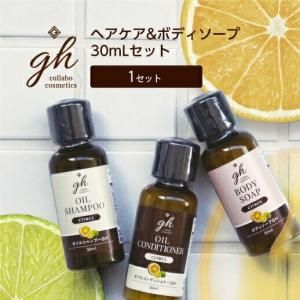 ڼۥإܥǥ 30mL 3ܥå GH (1å) 