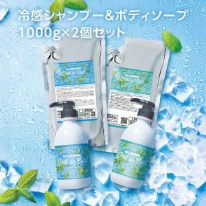 ܥȥ 䴶 ס ܥǥ 2ܥå ڥѡߥȤι 1000g ե륽 (1å)