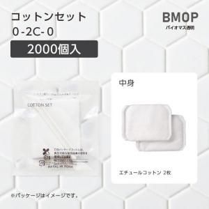 ڼۥåȥ󥻥å 0-2C-0 BMƩ (2000)
