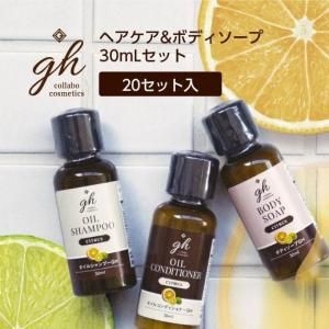 ڼۥإܥǥ 30mL 3ܥå GH (20å)