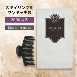ѥ󥿥å إå ˥å Х (2000)