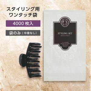 ѥ󥿥å إå ˥å Х (4000)