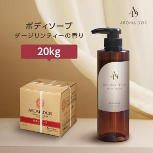 ܥǥ ƥι 20kg ޥɡ (1)