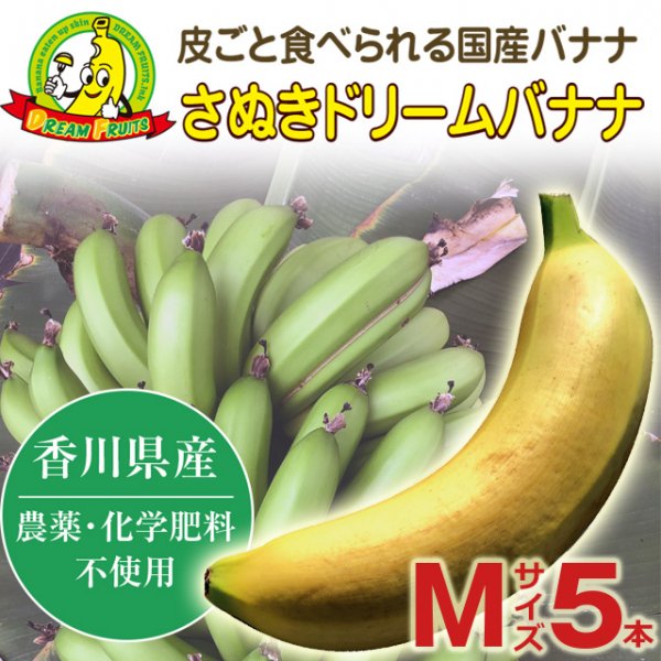 日本 バナナ様専用 mandhucollege.edu.mv
