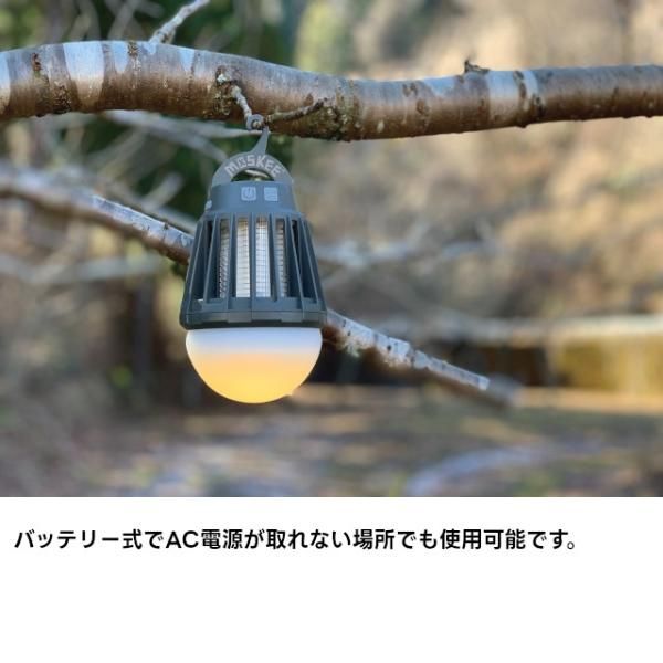 インテリア雑貨cute