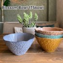 Blossom Bowl 175 Bowlڥ޸ƫ ǻ 饤ܥ ܥ ܥ  ƥ  ե̡ƥ ̥   Ϸ ꥹޥ