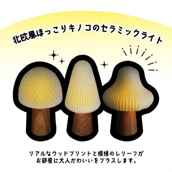 ☆きのこ☆ fit=scale-down,w=1200