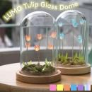LUMO Tulip Glass Dome (S)ڥХ륢 global arrow 塼å  ƥꥢ  LED LED饤   Ϸ ꥹޥ xmas