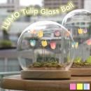 LUMO Tulip Glass Ball (S)ڥХ륢 global arrow 塼å  ƥꥢ  LED LED饤   Ϸ ꥹޥ xmas