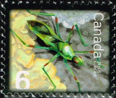 サシガメの切手 カナダ普通切手 昆虫06 - 切手の通信販売/スタンプロード