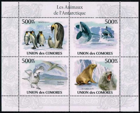 ペンギン シャチなど南極の生物の切手 コモロ10年4種連刷シート 鳥 動物 切手の通信販売 スタンプロード