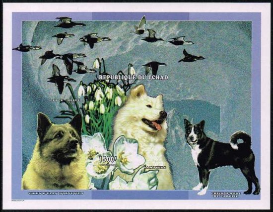 無目打 イヌの切手 チャド1998年小型シート 犬 鳥 花 切手の通信販売 スタンプロード