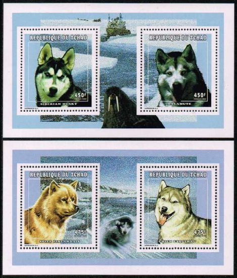 イヌの切手 チャド1998年ミニシート2種 犬 南極 切手の通信販売 スタンプロード
