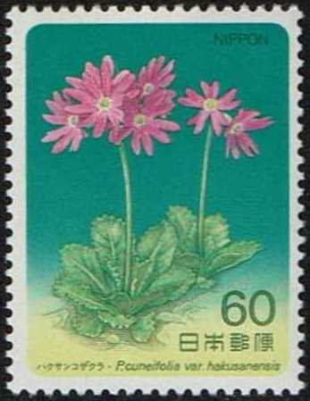 【未使用】 高山植物シリーズ　第2集　ハクサンコザクラ　60円シート　 切手 ♪