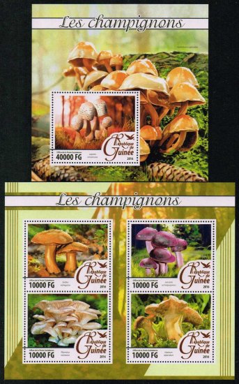 キノコの切手 ギニア2016年2シートセット　茸 - 切手の通信販売/スタンプロード