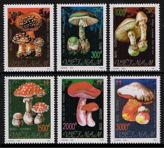 キノコの切手 ベトナム1991年6種完　茸 - 切手の通信販売/スタンプロード