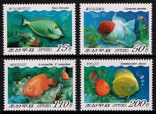 魚の切手 北朝鮮2007年4種完 金魚 - 切手の通信販売 / スタンプロード