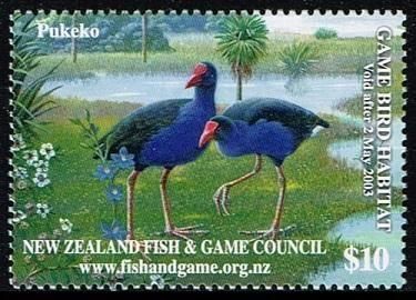 ˥塼ɤμĵİ 2002ǯ1ﴰĻ