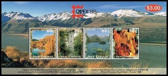ʤڼ ˥塼1996ǯCAPEX'96ڼŸ