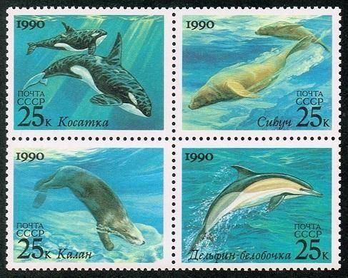 <img class='new_mark_img1' src='https://img.shop-pro.jp/img/new/icons5.gif' style='border:none;display:inline;margin:0px;padding:0px;width:auto;' />Ӯڼ Ϣ1990ǯ4ķ륫