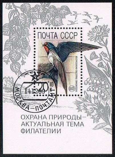 <img class='new_mark_img1' src='https://img.shop-pro.jp/img/new/icons5.gif' style='border:none;display:inline;margin:0px;padding:0px;width:auto;' />Ļڼ Ϣ1989ǯݸȡʺѡˡ