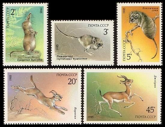 <img class='new_mark_img1' src='https://img.shop-pro.jp/img/new/icons5.gif' style='border:none;display:inline;margin:0px;padding:0px;width:auto;' />ưʪڼ Ϣ1985ǯ5ﴰ