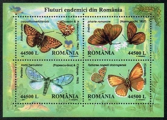 <img class='new_mark_img1' src='https://img.shop-pro.jp/img/new/icons5.gif' style='border:none;display:inline;margin:0px;padding:0px;width:auto;' />ĳڼ 롼ޥ˥2002ǯȡ