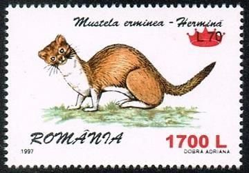 <img class='new_mark_img1' src='https://img.shop-pro.jp/img/new/icons5.gif' style='border:none;display:inline;margin:0px;padding:0px;width:auto;' />ڼ 롼ޥ˥2000ǯ1ﴰʲú