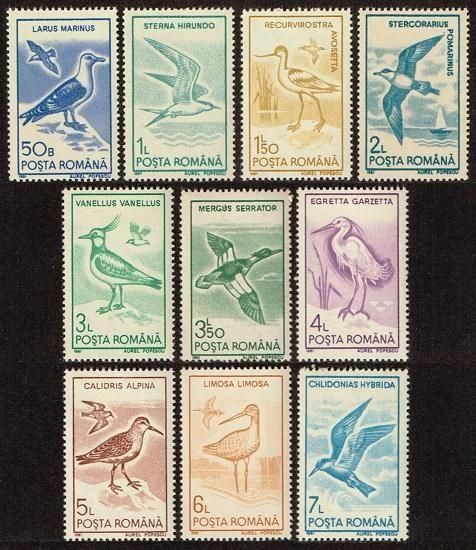 <img class='new_mark_img1' src='https://img.shop-pro.jp/img/new/icons5.gif' style='border:none;display:inline;margin:0px;padding:0px;width:auto;' />Ļڼ 롼ޥ˥1991ǯ10ﴰ