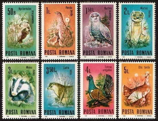 <img class='new_mark_img1' src='https://img.shop-pro.jp/img/new/icons5.gif' style='border:none;display:inline;margin:0px;padding:0px;width:auto;' />ʪݸڼ 롼ޥ˥1985ǯ8ﴰĻ