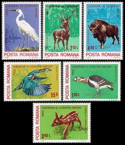 <img class='new_mark_img1' src='https://img.shop-pro.jp/img/new/icons5.gif' style='border:none;display:inline;margin:0px;padding:0px;width:auto;' />ưʪĻڼ 롼ޥ˥1980ǯ衼åѼݸǯ6ﴰ