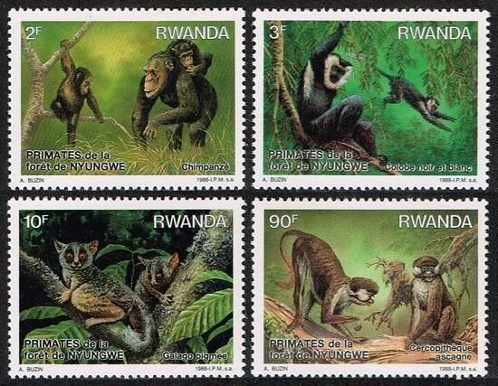 <img class='new_mark_img1' src='https://img.shop-pro.jp/img/new/icons5.gif' style='border:none;display:inline;margin:0px;padding:0px;width:auto;' />ڼ 1888ǯ4ﴰ