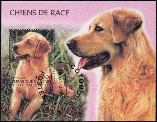 犬の切手 ベナン00年小型シート 済 ゴールデンレトリバー 切手の通信販売 スタンプロード