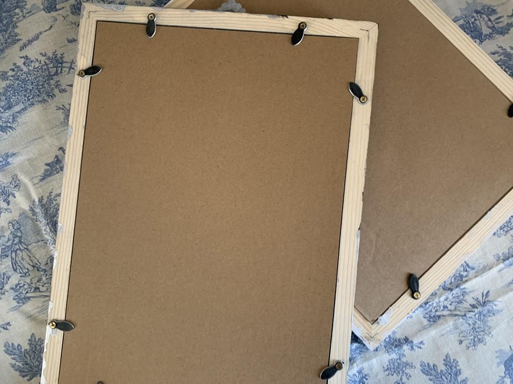 Journal des Demoiselles貴婦人のファッションプレート