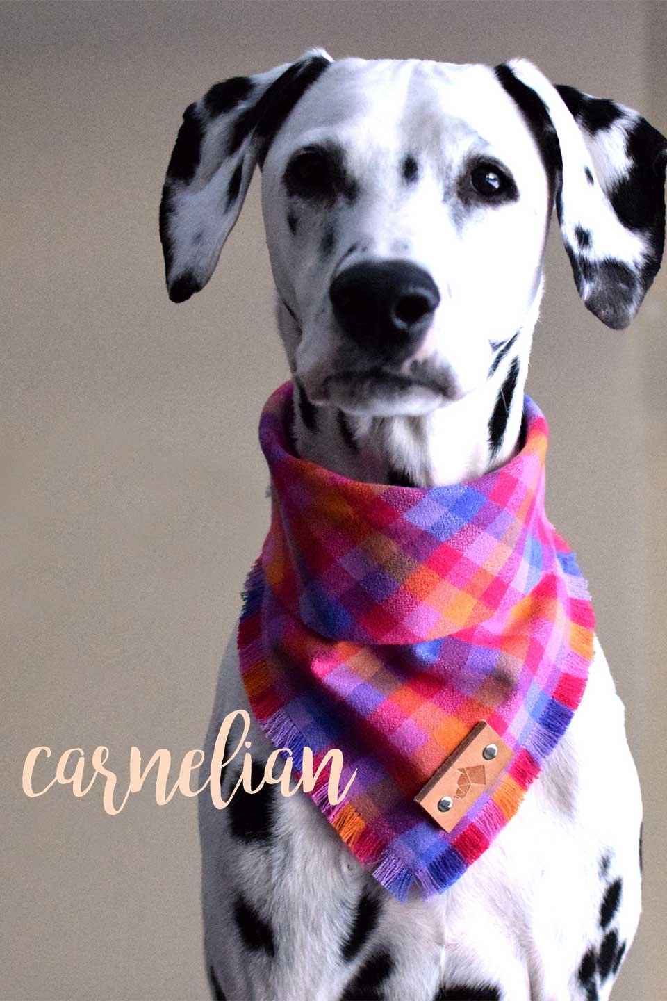 Carnelian Fringed Flannel Dog Bandana カーネリアン・フリンジドッグ