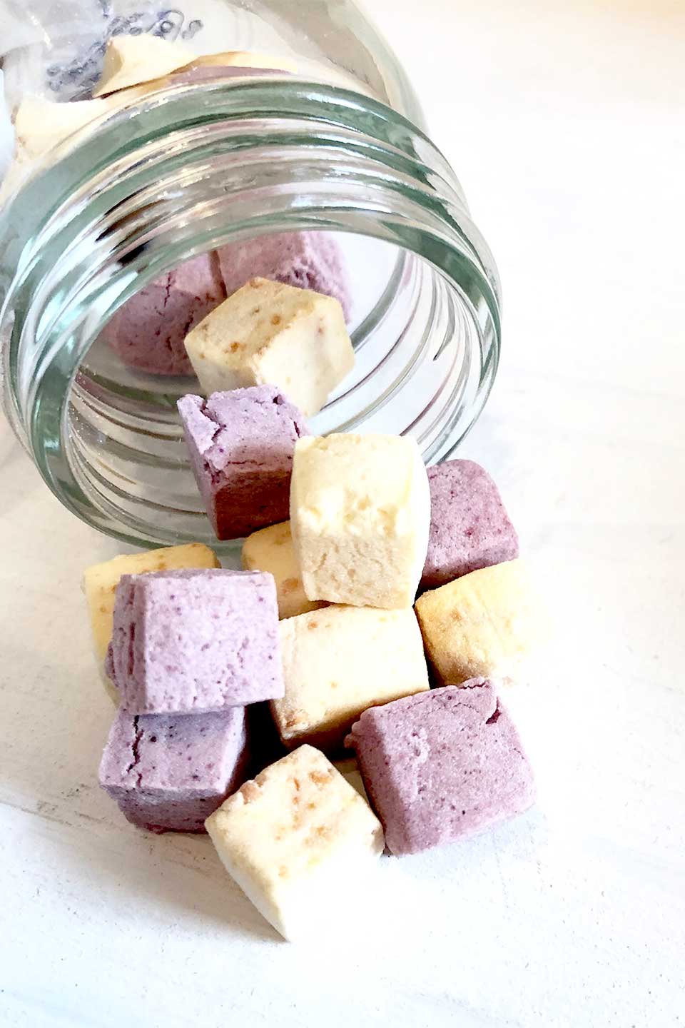 Cheese&PurplePotato礤⡦£餫襤ӥ꡼Υɥåå䥪ġξʤϿɥååѥȤ˰ñۤޤbloomdogsupply򳫤〜Bonpuchi襤ӥ꡼〜Τפ塼֤äߥ˥ӤΤۻҤǤȻ礤Υ塼֤ġ/main-8